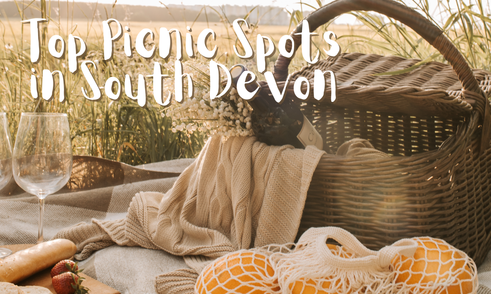 Picnic Spots in South Devon